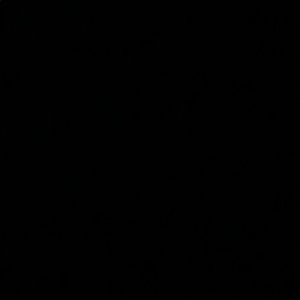 Meet your Posher, Tyeshia